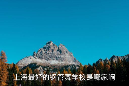 上海最好的钢管舞学校是哪家啊