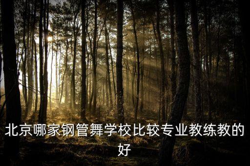 北京学钢管舞的哪个好，北京哪家钢管舞学校比较专业教练教的好