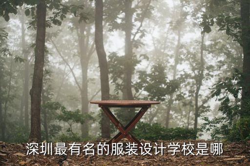 深圳最有名的服装设计学校是哪
