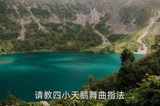 请教四小天鹅舞曲指法