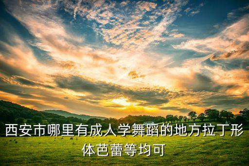 西安市哪里有成人学舞蹈的地方拉丁形体芭蕾等均可