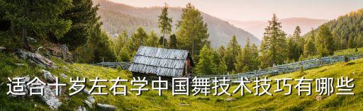 少儿中国舞技巧有哪些，给儿童上舞蹈课都得教什么技巧啊