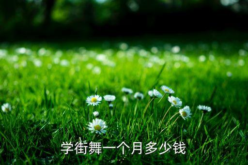 学街舞一个月多少钱