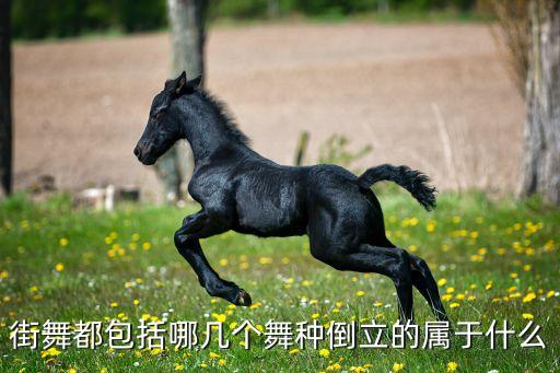 街舞分别有哪些内容，街舞的舞种具体包括什么呢