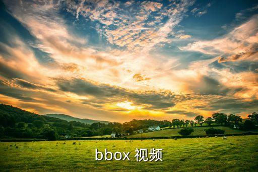 bbox 视频