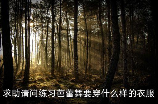 求助请问练习芭蕾舞要穿什么样的衣服