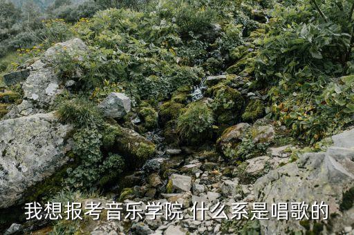 艺考有唱歌的专业吗，高考艺术类音乐专业