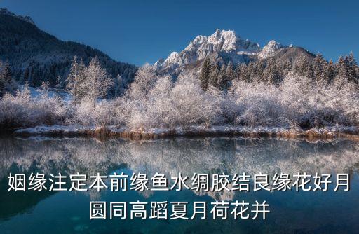 姻缘注定本前缘鱼水绸胶结良缘花好月圆同高蹈夏月荷花并