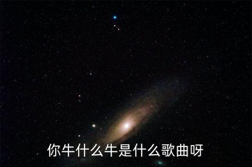 你牛什么牛是什么歌曲呀