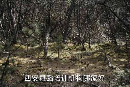 西安最好的舞蹈学校，请问 西安钢管舞培训哪家最好