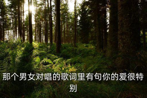 广场舞有一个歌叫爱你什么夹，再也不会知难而退 在爱的路上有你相对是什么歌的歌词