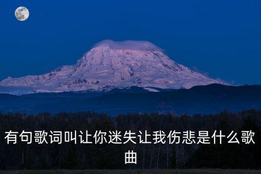 有句歌词叫让你迷失让我伤悲是什么歌曲