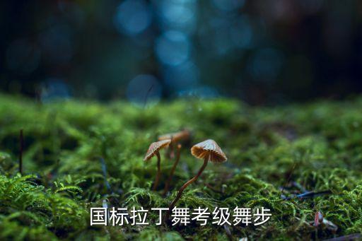 国标拉丁舞考级舞步