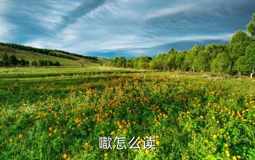 噷怎么读