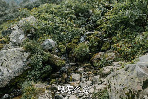 曳怎么读视频下载，曳这个字怎么读