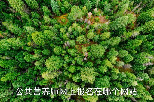 公共营养师网上报名在哪个网站