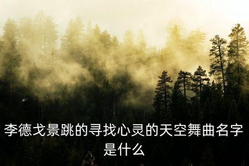 李德戈景跳的寻找心灵的天空舞曲名字是什么