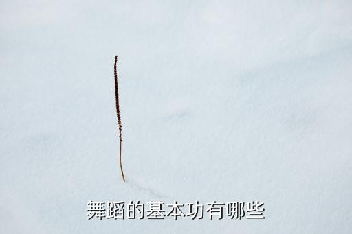 舞蹈的基本功有哪些