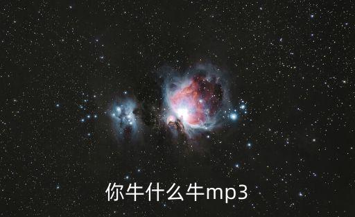 你牛什么牛mp3