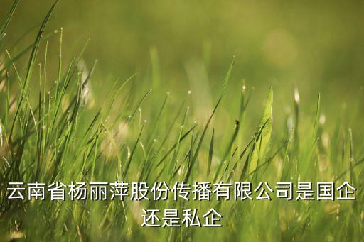 云南省杨丽萍股份传播有限公司是国企还是私企