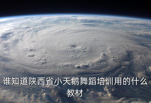 谁知道陕西省小天鹅舞蹈培训用的什么教材