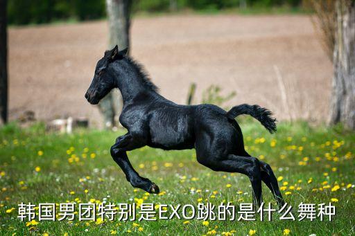 韩国男团特别是EXO跳的是什么舞种