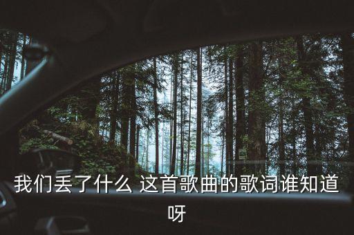 我们丢了什么 这首歌曲的歌词谁知道呀
