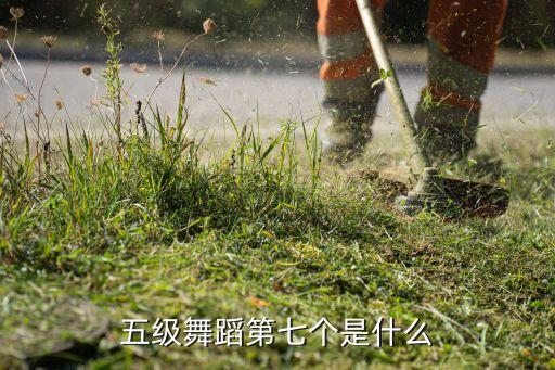 五级舞蹈第七个是什么