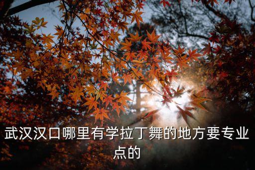 武汉汉口哪里有学拉丁舞的地方要专业点的