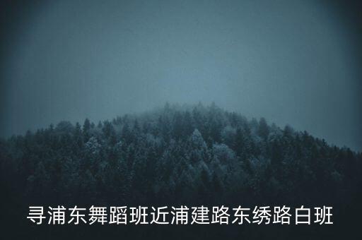 寻浦东舞蹈班近浦建路东绣路白班