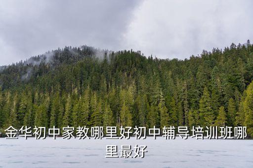 金华初中家教哪里好初中辅导培训班哪里最好