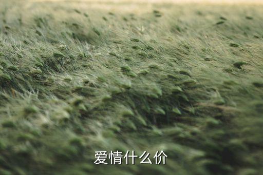 爱情什么价