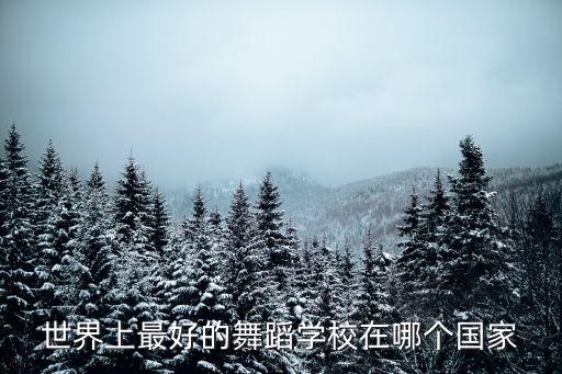 学舞蹈去哪个国外学校，美国哪个州立大学学音乐舞蹈专业好