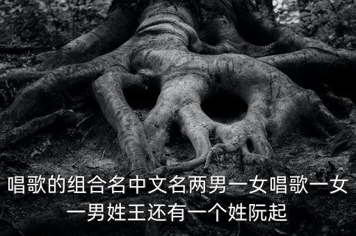 唱歌的组合名中文名两男一女唱歌一女一男姓王还有一个姓阮起