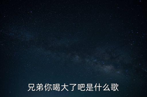 兄弟你喝大了吧是什么歌