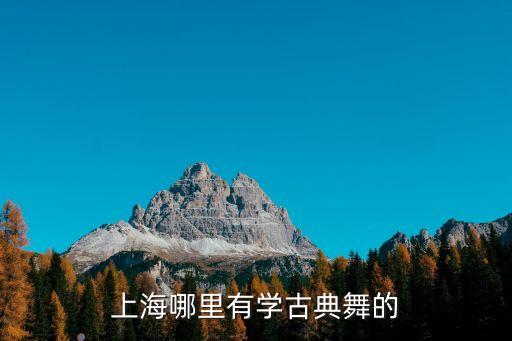 上海哪里有学古典舞的