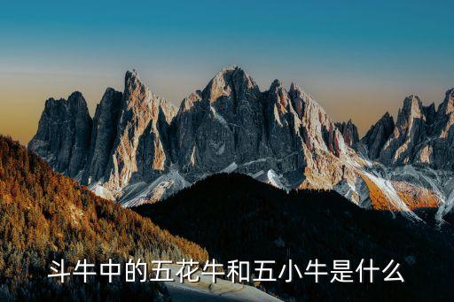 什么牛什么牛，白色的牛叫白牛黑白相间的牛叫奶牛请问黑白黄相间的牛叫什么