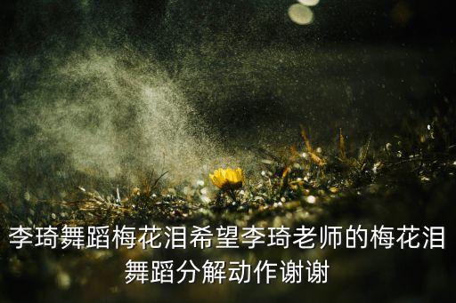 李琦舞蹈梅花泪希望李琦老师的梅花泪舞蹈分解动作谢谢