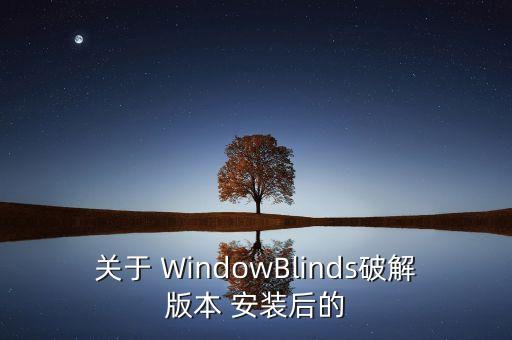 关于 WindowBlinds破解版本 安装后的