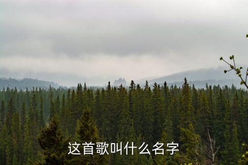 这首歌叫什么名字