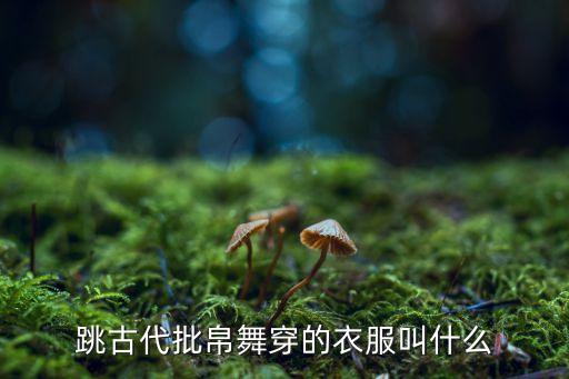跳古代批帛舞穿的衣服叫什么