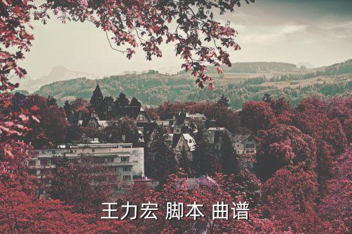 王力宏 脚本 曲谱