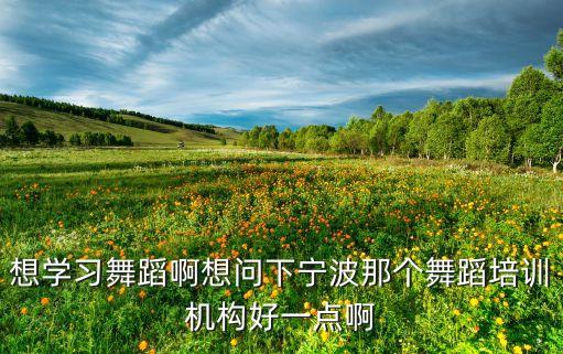 想学习舞蹈啊想问下宁波那个舞蹈培训机构好一点啊