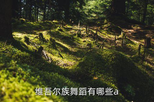 维吾尔族舞蹈有哪些a