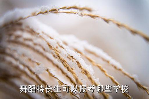 舞蹈艺术可以报考的大学，舞蹈特长生可以报考哪些学校
