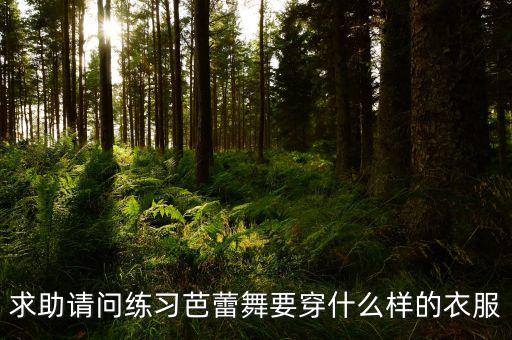 求助请问练习芭蕾舞要穿什么样的衣服