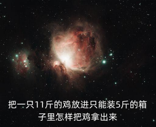 把一只11斤的鸡放进只能装5斤的箱子里怎样把鸡拿出来
