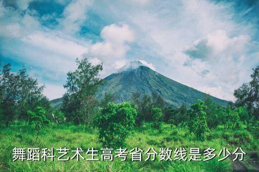 舞蹈科艺术生高考省分数线是多少分