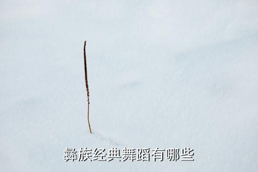 彝族经典舞蹈有哪些