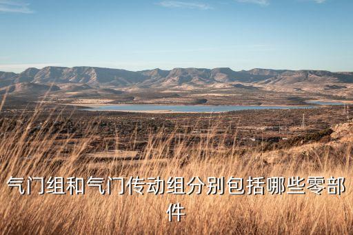 软开度有什么，开度仪有什么作用有谁知道啊